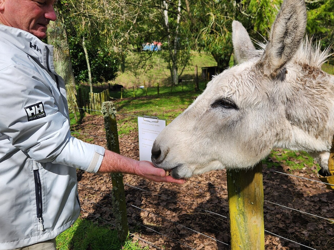 Lilliput Farm Fun And Animal Park-陶波必去景点
