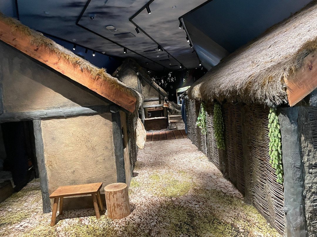 Museet Ribes Vikinger-里伯必去景点