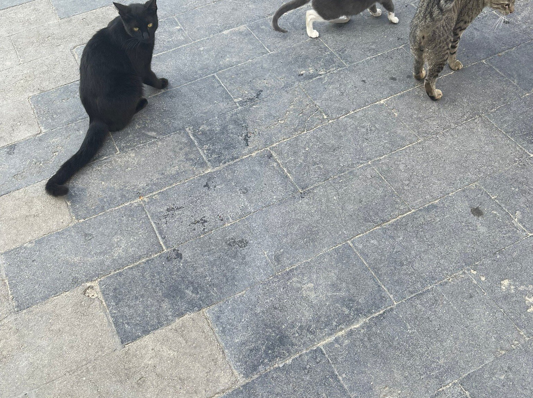 卡波圣卢卡斯悦宜湾奢享酒店-全包主图