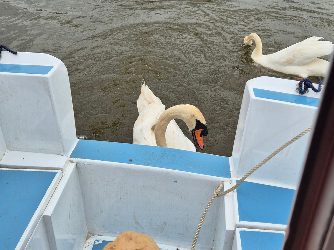 Martham Ferry Day Boat Hire-Martham必去景点
