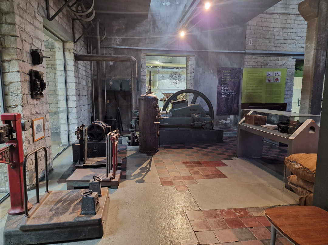 Carob Mill Museum-利马索尔必去景点