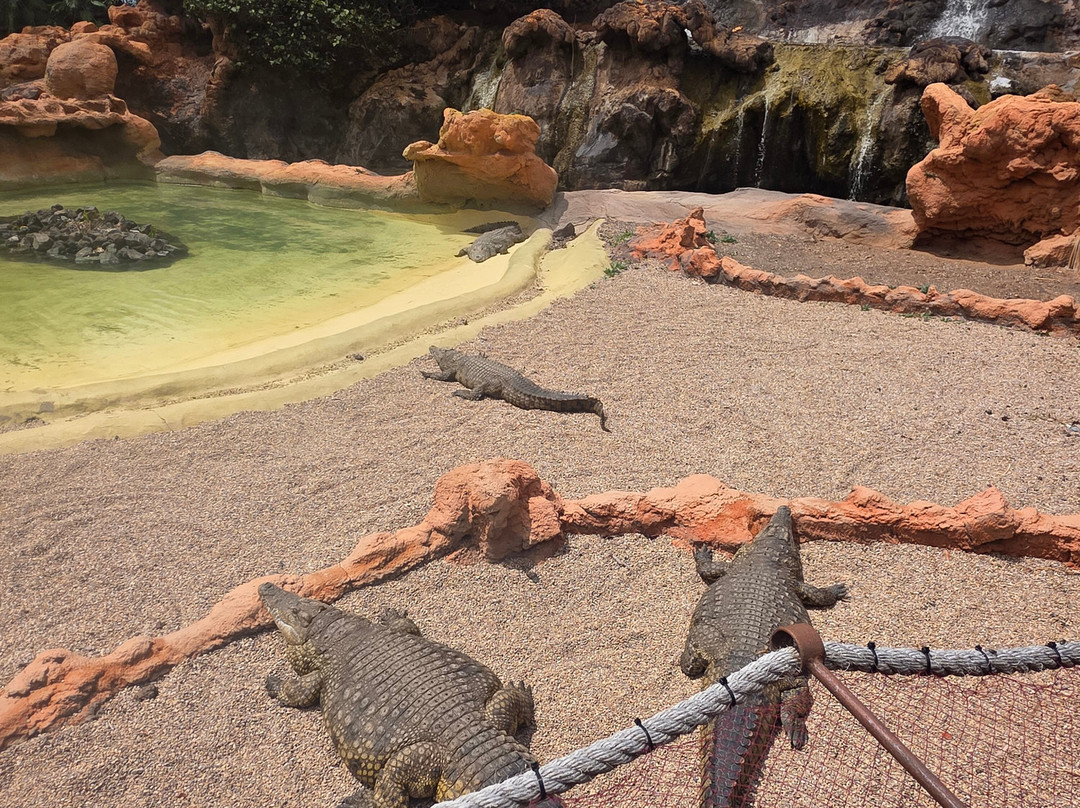 Rancho Texas Lanzarote Park-卡门港必去景点