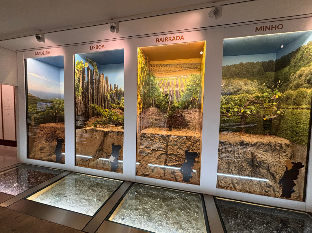 The Wine Experience Museum-加亚新城必去景点