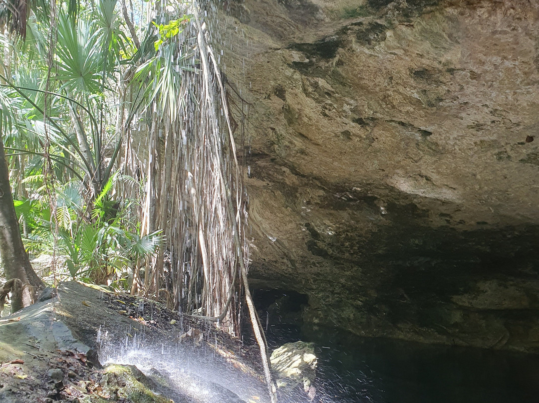 Ecopark Kantun Chi-阿范特拉斯港必去景点
