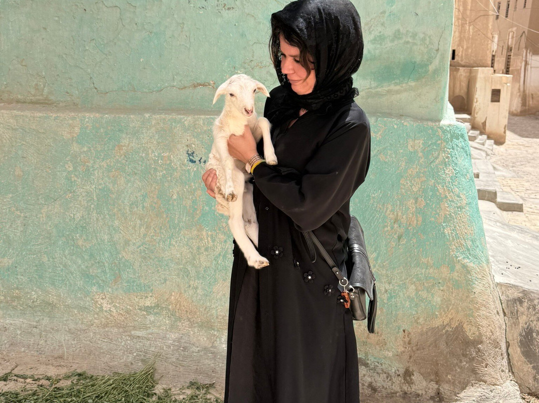 Yemen Horizon Tours & Travel-Seiyun必去景点
