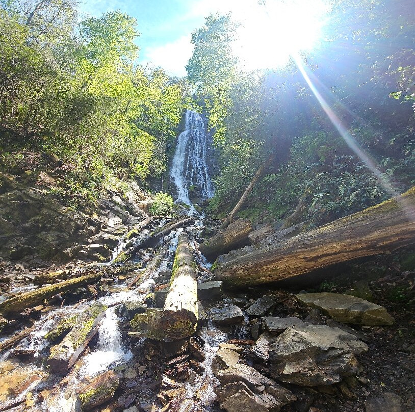 Mingo Falls-切罗基必去景点