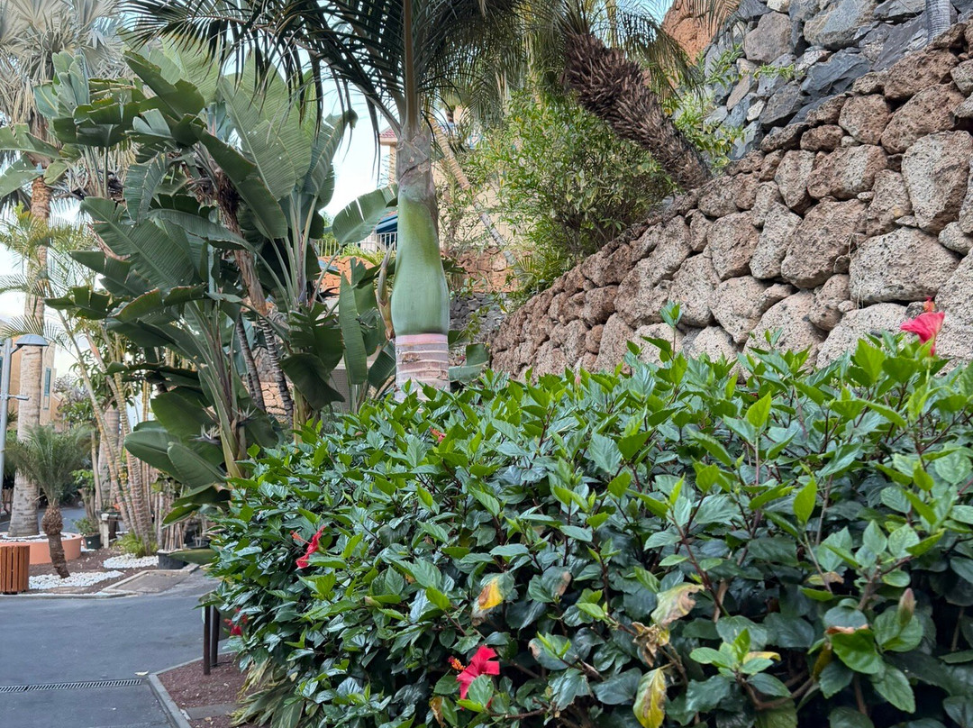 玛丽亚别墅套房酒店主图