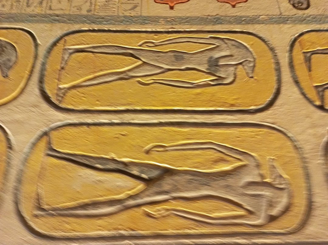 Tomb of Ramases IX-卢克索必去景点