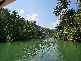 Loboc River-薄荷岛必去景点