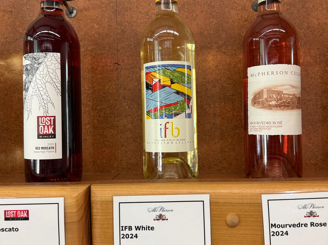 Texas Wine Collective-弗雷德里克斯堡必去景点