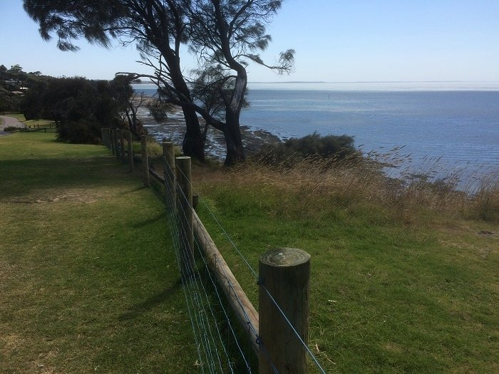 Flinders Beach-弗林德斯必去景点
