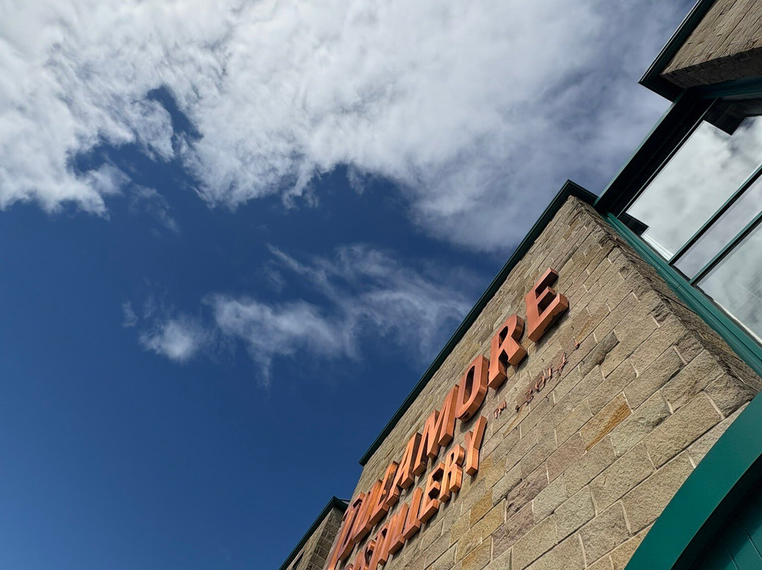 Tullamore D.E.W. Distillery Experience-Tullamore必去景点