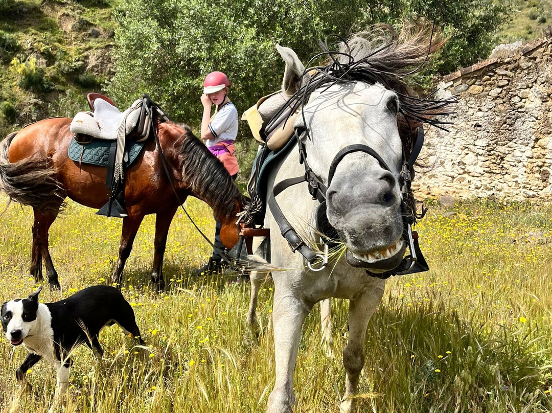 Horse Riding El Chorro-El Chorro必去景点