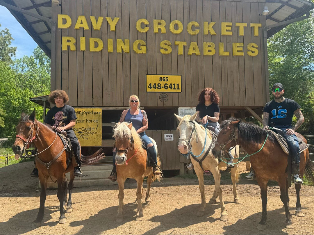 Davy Crockett Riding Stables-汤森必去景点