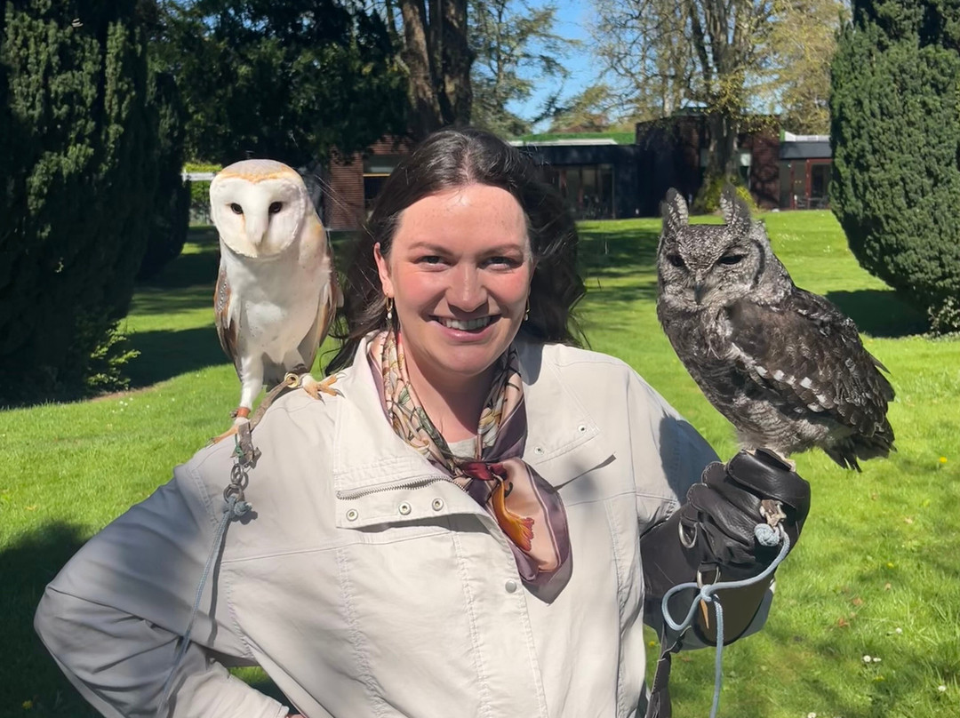 Newgrange Falconry-Julianstown必去景点