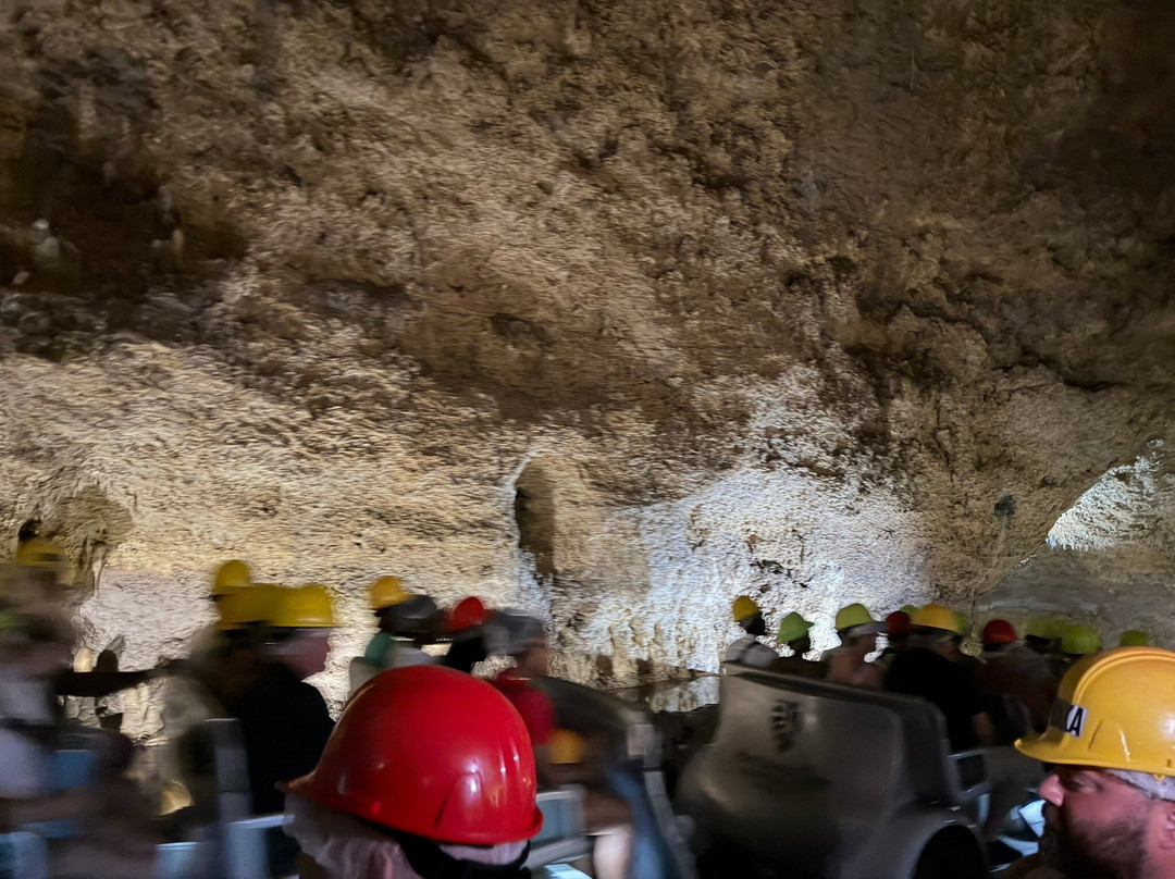 Harrison's Cave Eco-Adventure Park-Saint Thomas Parish必去景点