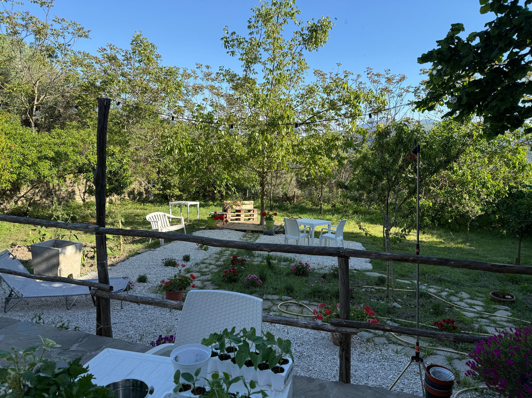 Il Giardino Segreto主图