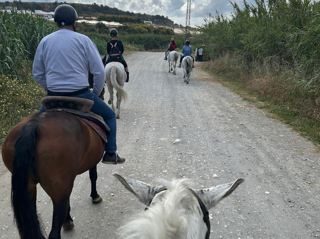 Andale Riding Nerja-内尔哈必去景点