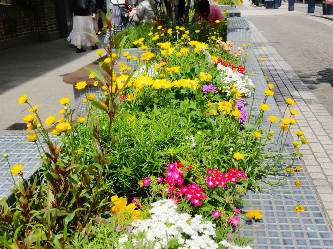Yokohama Motomachi Shopping Street-横滨市必去景点