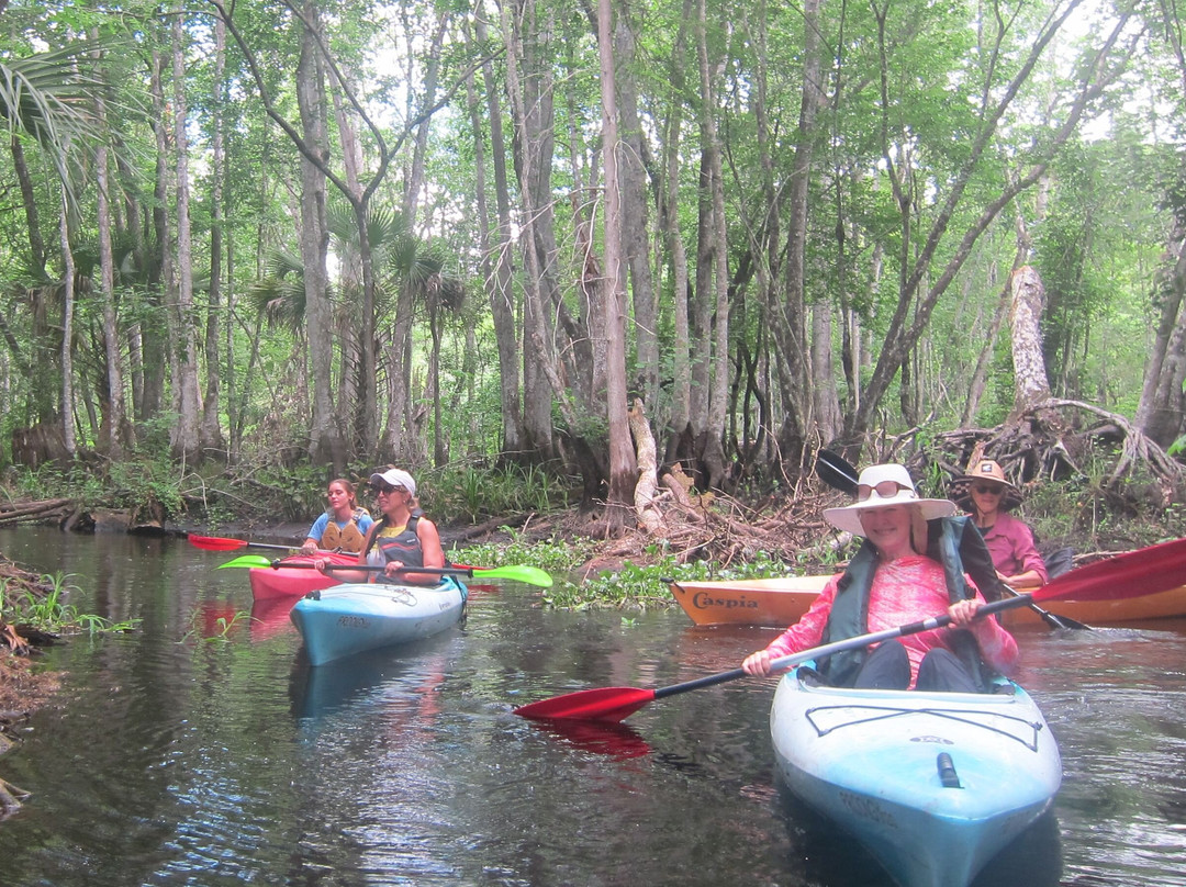 Lake Norris Conservation Area-Eustis必去景点