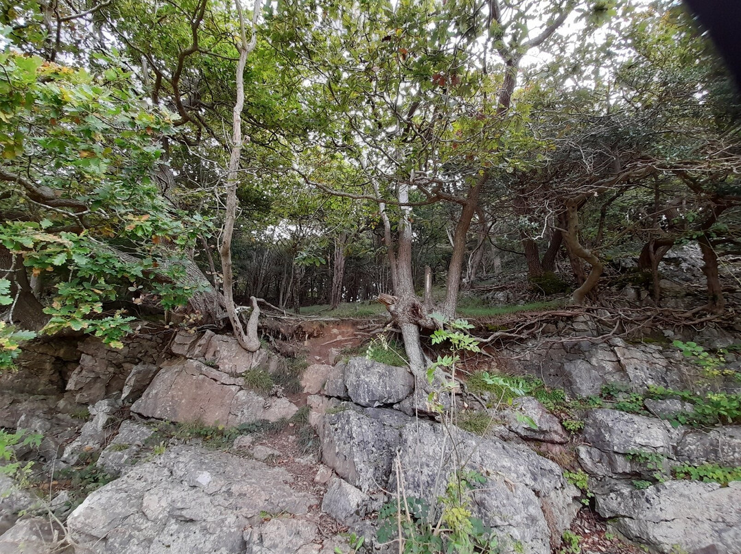 Grubbins Wood-Arnside必去景点