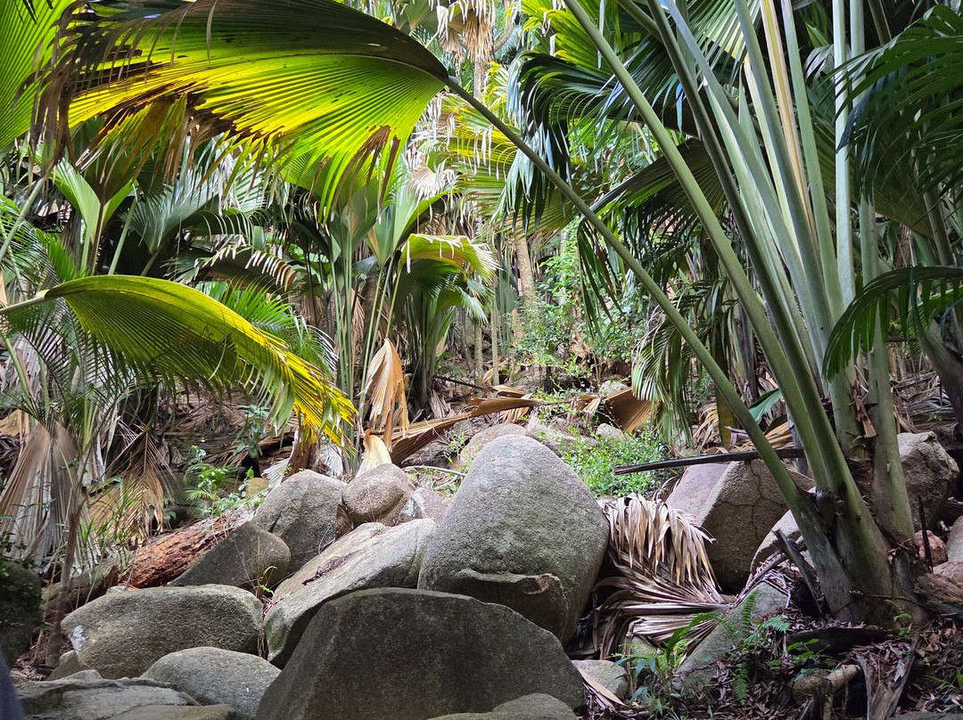 Edelweiss Tours, Seychellen-普拉兰岛必去景点