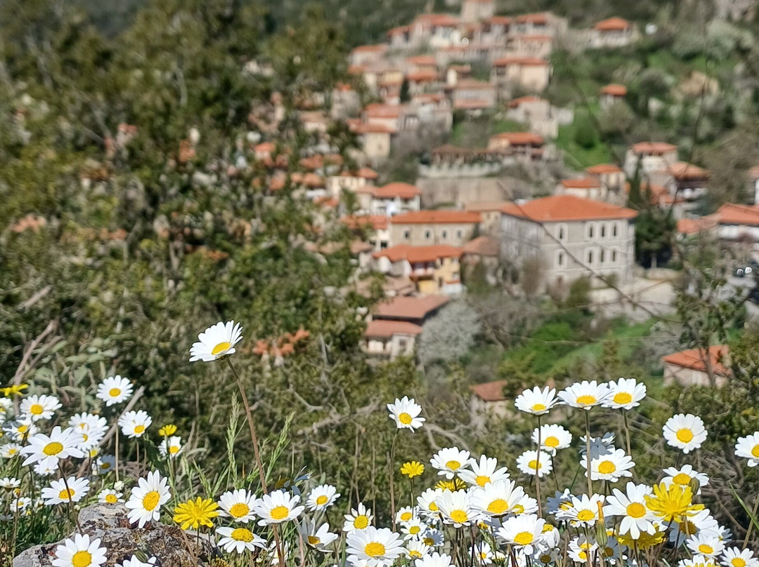 Explore Messinia-卡拉马塔必去景点