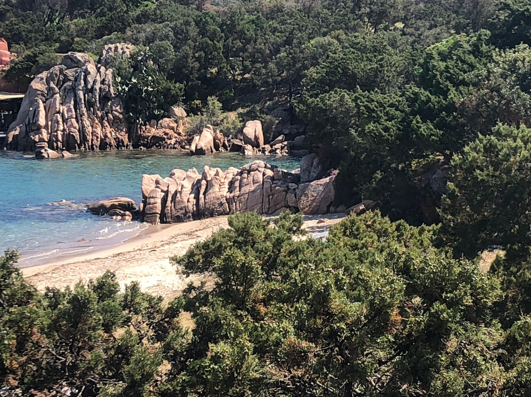 Piazzetta Degli Ulivi Porto Cervo