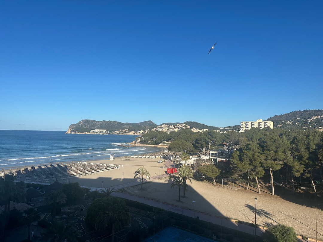 维布拉贝弗利海滩酒店主图