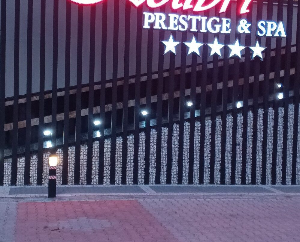 大鸟巢Prestige SPA主图