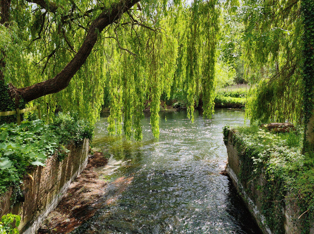 Taverham Mill Nature Reserve and Fishery-Taverham必去景点