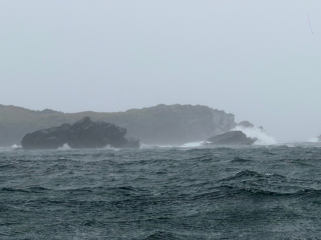Skellig Michael Cruises-Portmagee必去景点