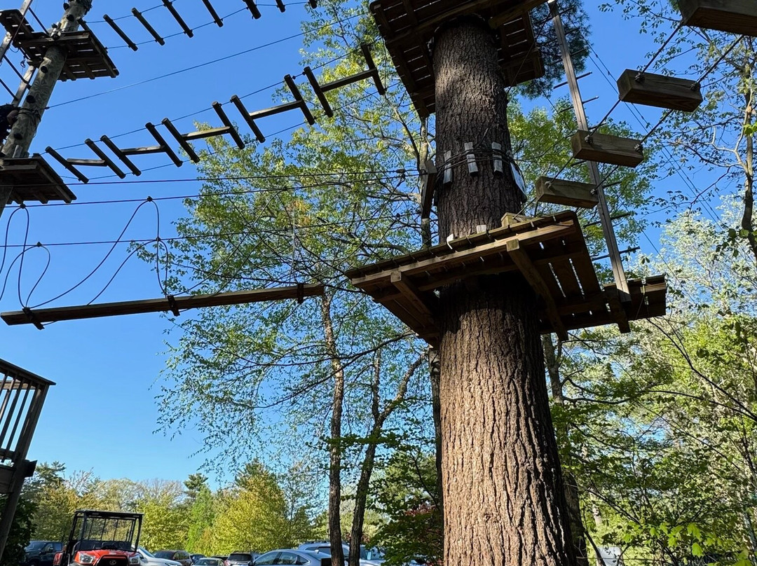 TreeTop Adventures Canton-Canton必去景点