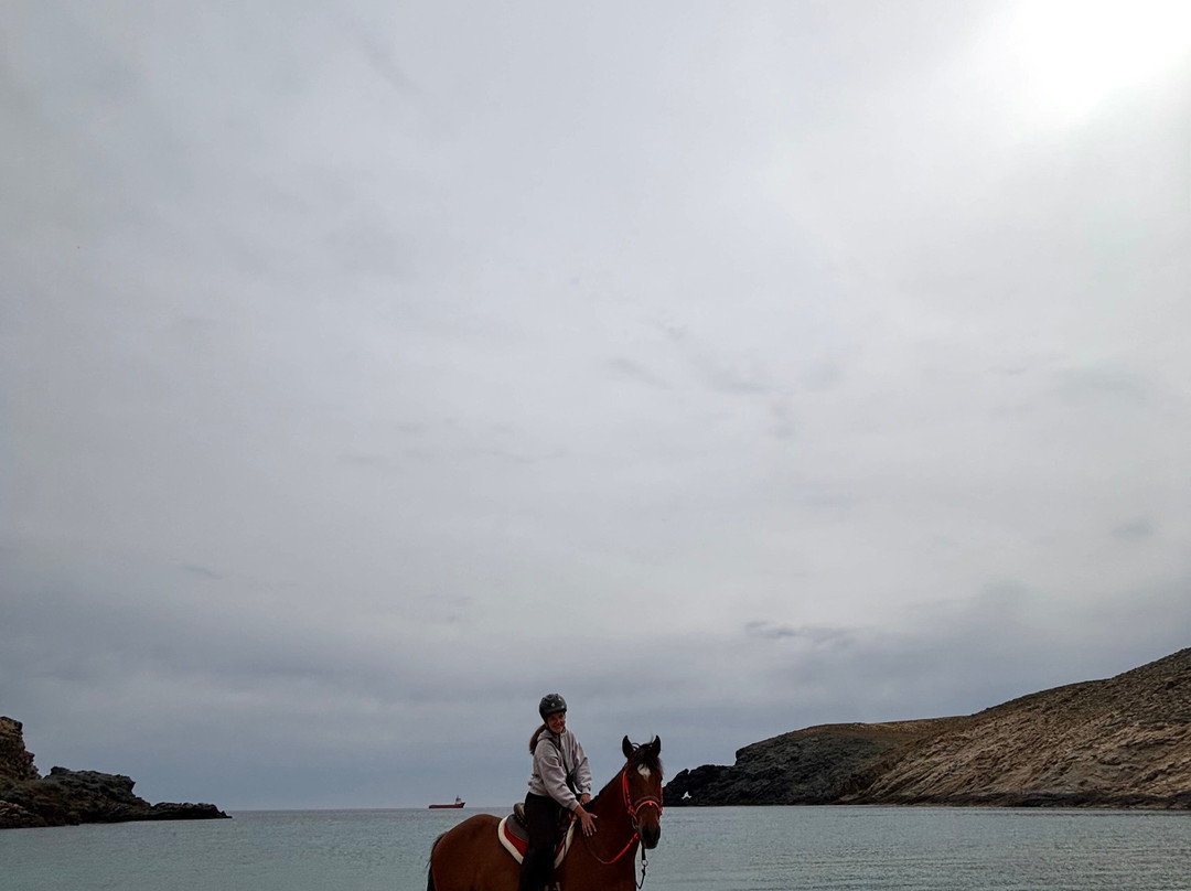 Mykonos Horseland-米科诺斯必去景点