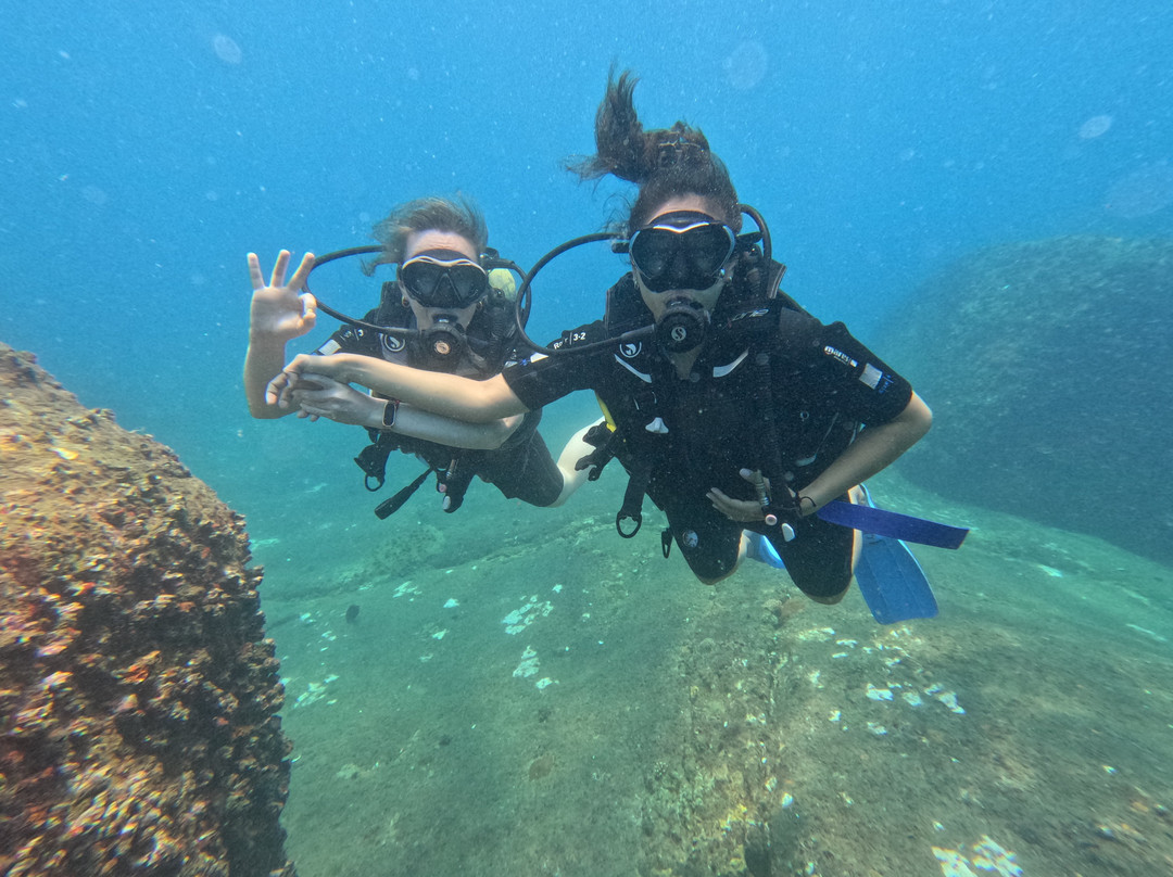 Divers Land Dive Club-Trincomalee必去景点