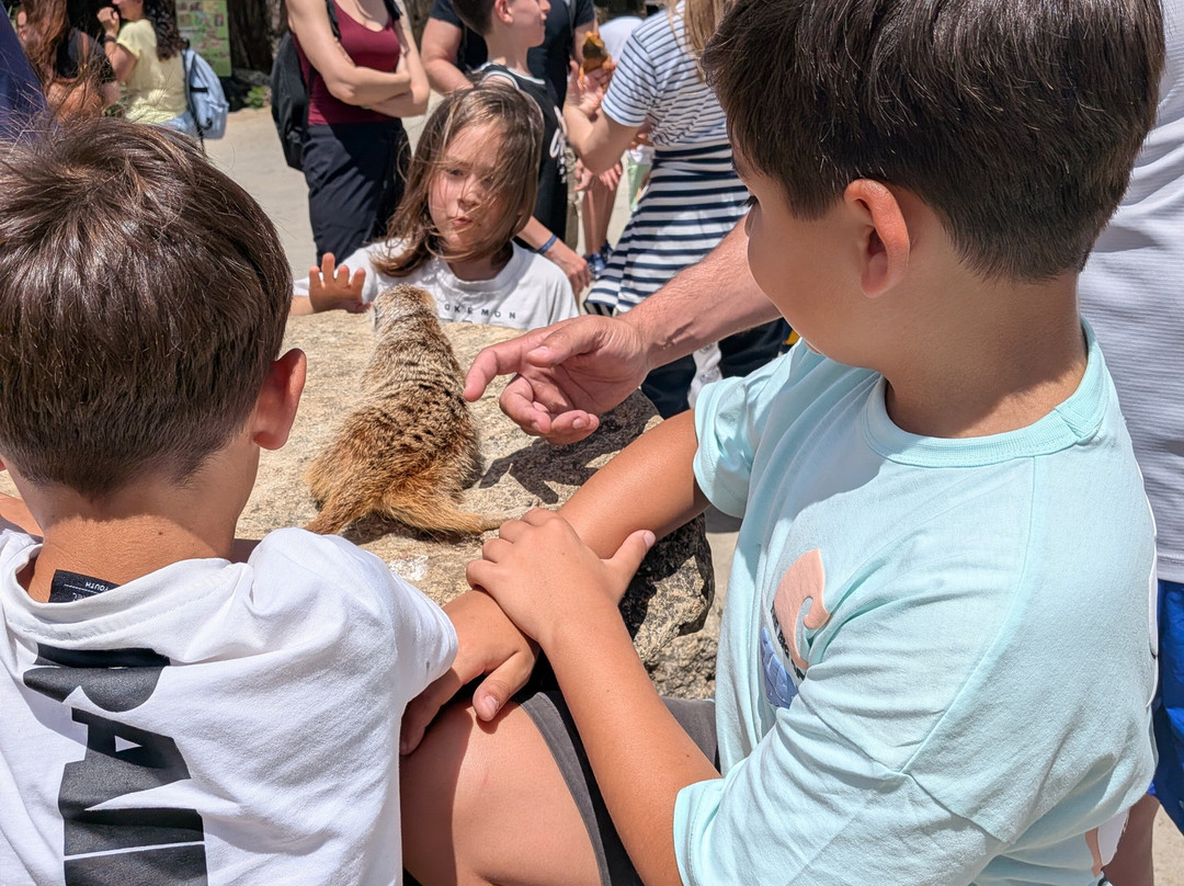 La Pequena Africa Animal Reserve-加的斯市必去景点