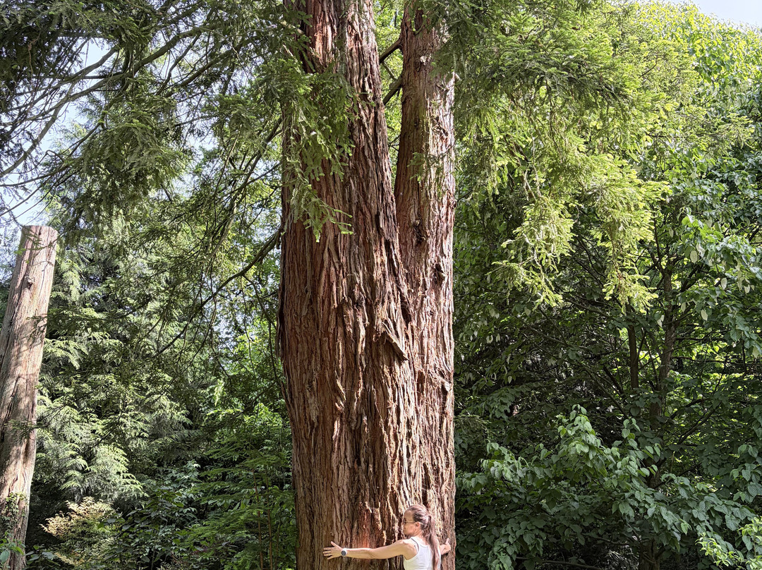 Sequoiafarm-Nettetal必去景点