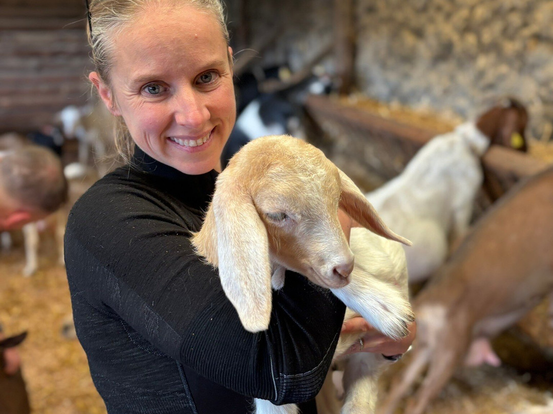 Typical Breakfast with Goats-Rabo de Peixe必去景点