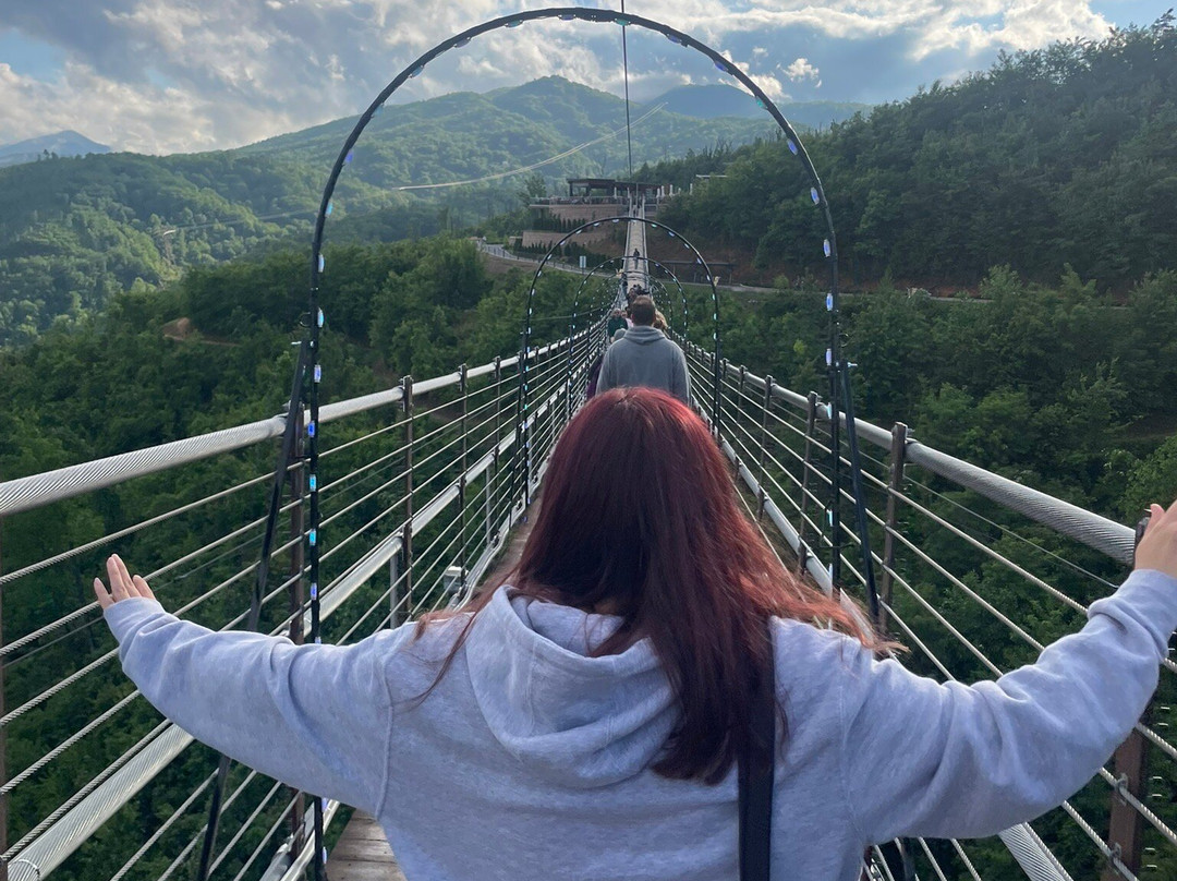 Gatlinburg SkyLift Park-盖林柏格必去景点