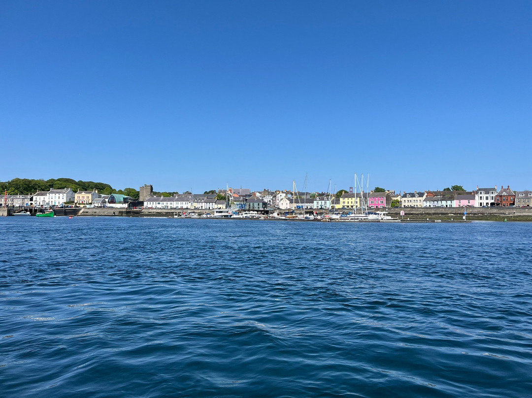 Strangford Boat Excursions