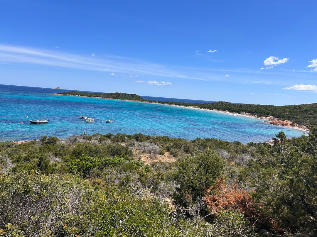 Spiaggia Capo Coda Cavallo-San Teodoro必去景点