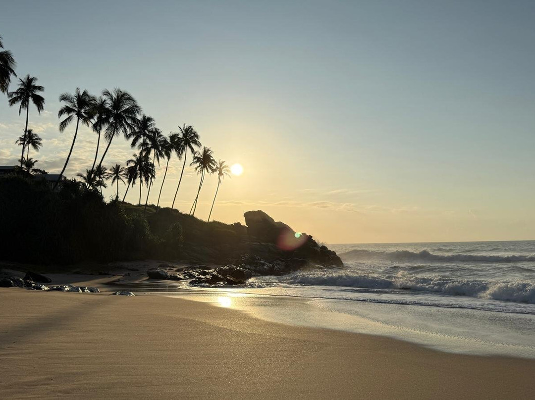 Prem Tours Sri Lanka-尼甘布必去景点