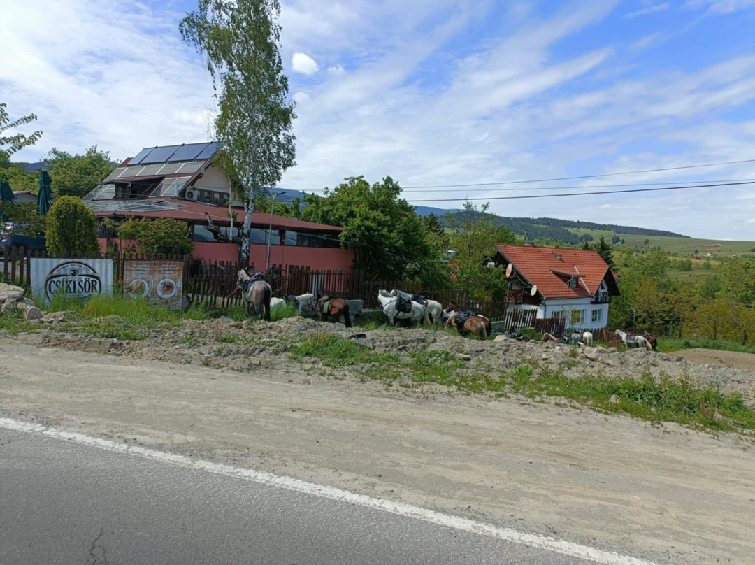 Pension Csiki Panorama主图