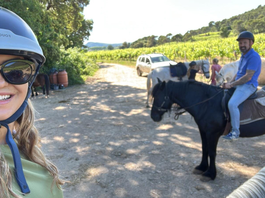 Horse Aventure-Saint-Bauzille-de-Montmel必去景点