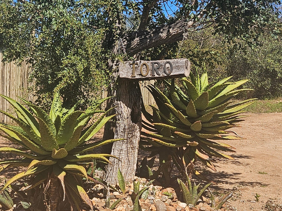 Toro River at Toro River Lodges-霍德斯普鲁特必去景点