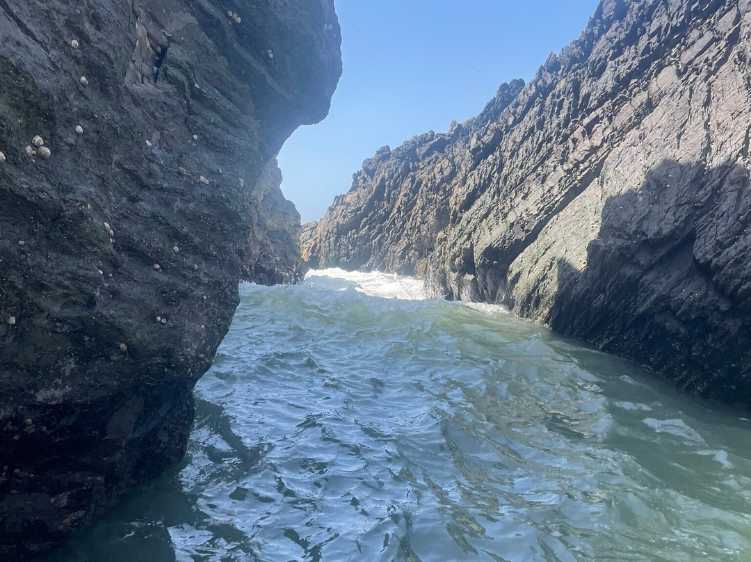 Surf South West-Croyde必去景点