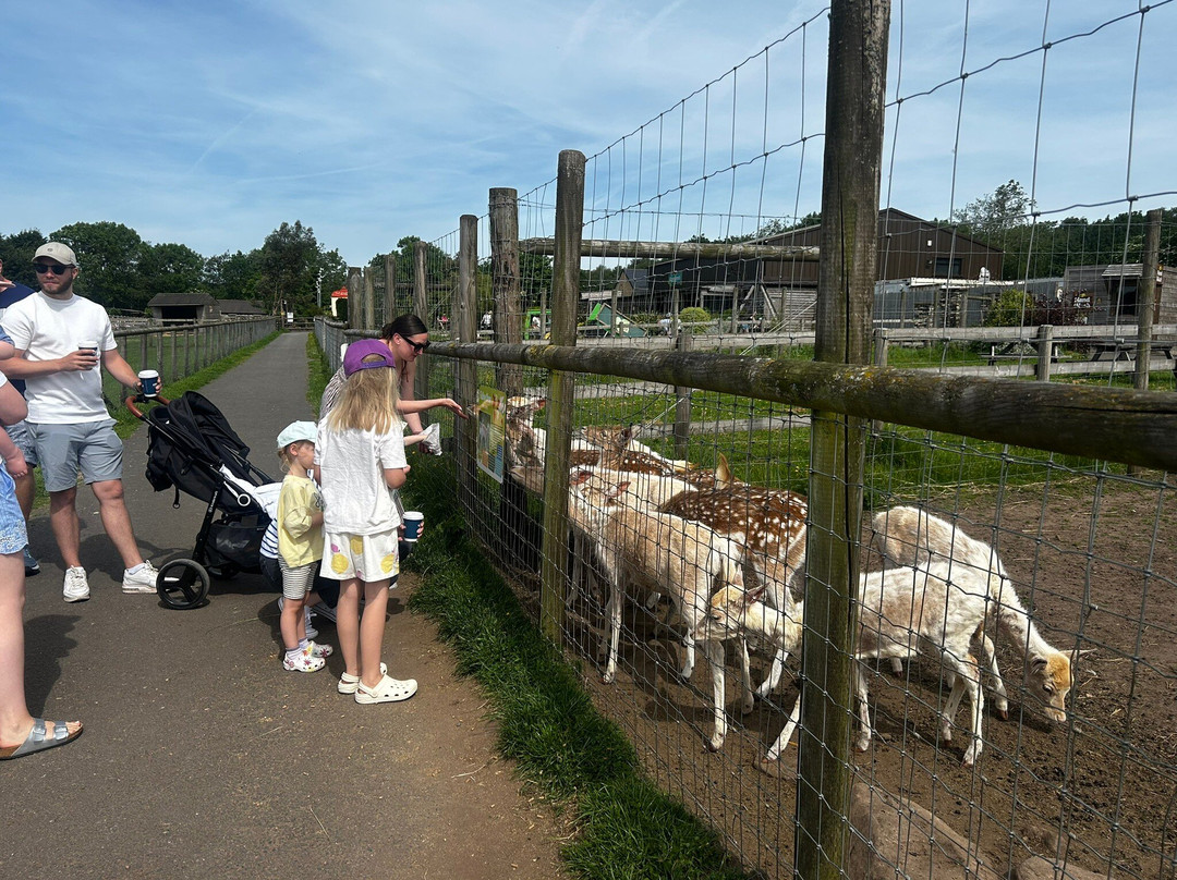 Matlock Farm Park-马特洛克必去景点