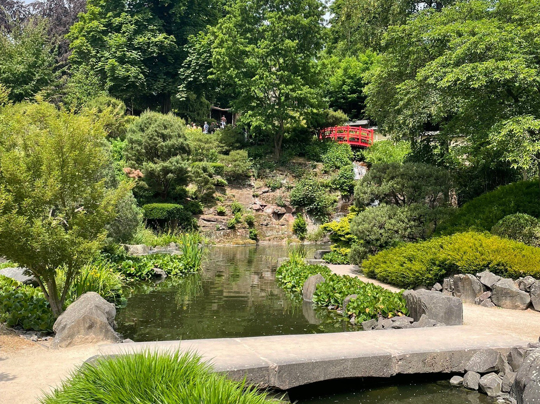 Japanischer Garten-凯撒斯劳滕必去景点