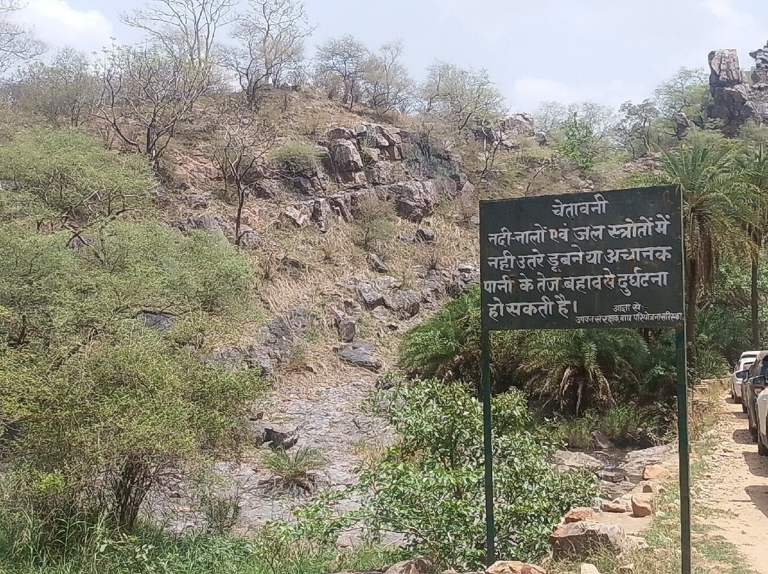 Sariska Tiger Reserve-阿尔瓦必去景点