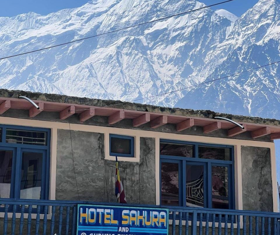 Hotel Sakura